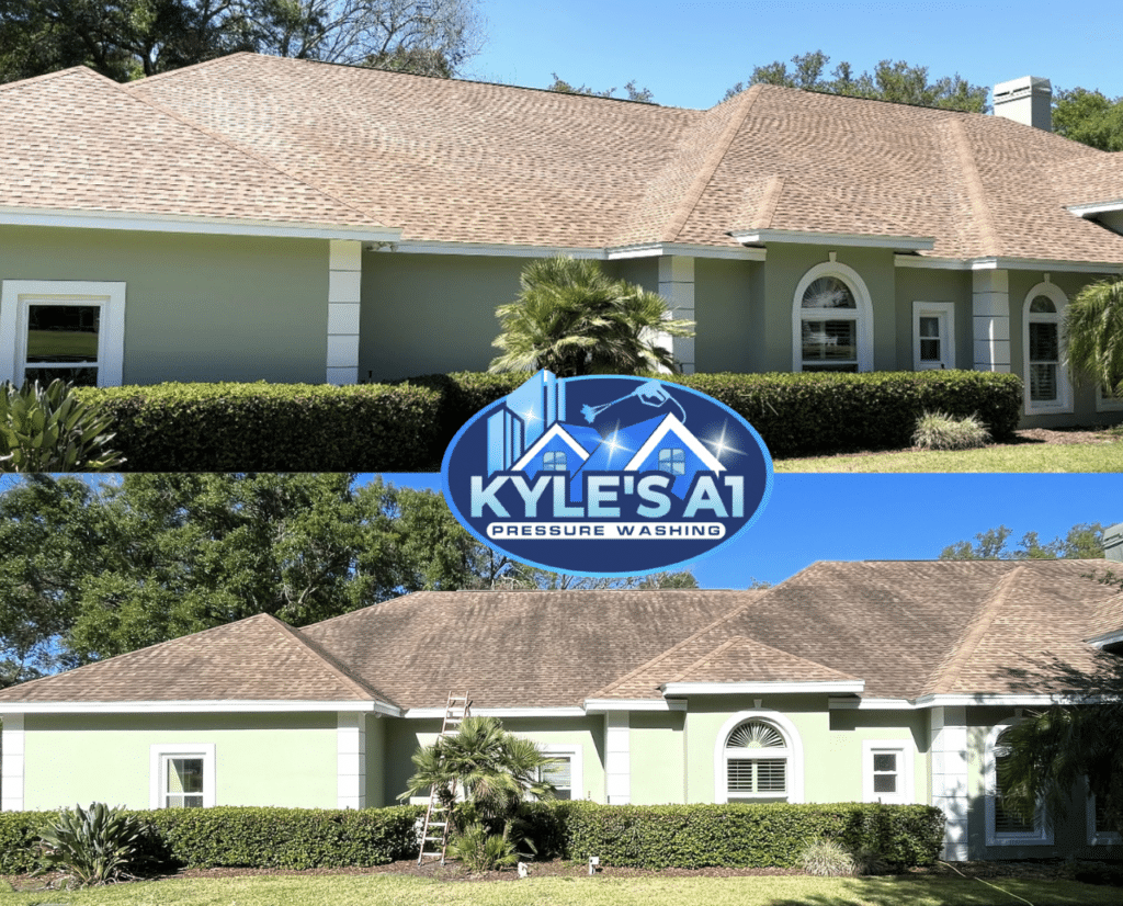 Roof Cleaning in Brandon, FL